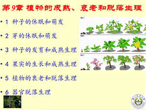 9章植物的成熟衰老和脱落生理.ppt