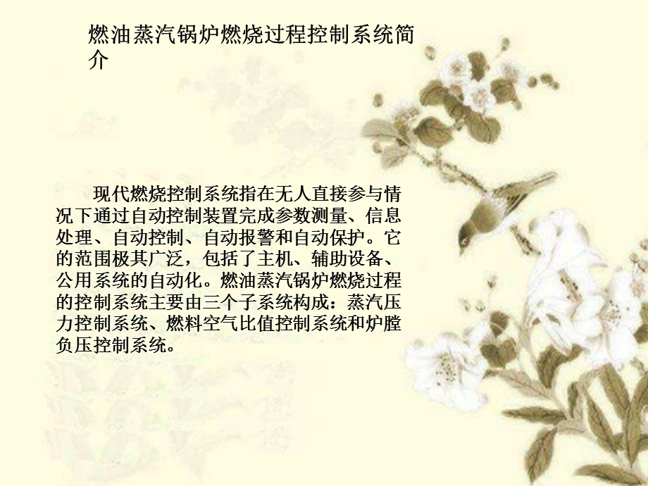 燃油蒸汽锅炉燃烧过程控制.ppt_第2页