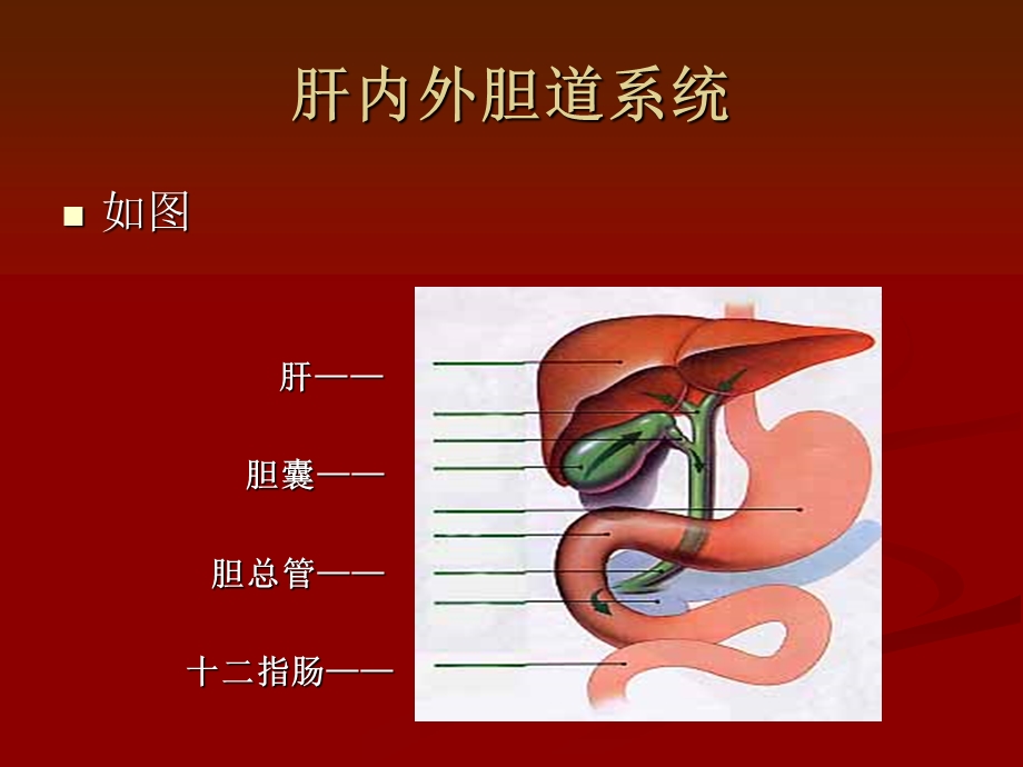 高位胆管癌的护理.ppt_第3页