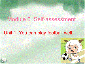 外研版(三起)小学英语第五册Module 6 Unit 1 You can play football well课件.ppt