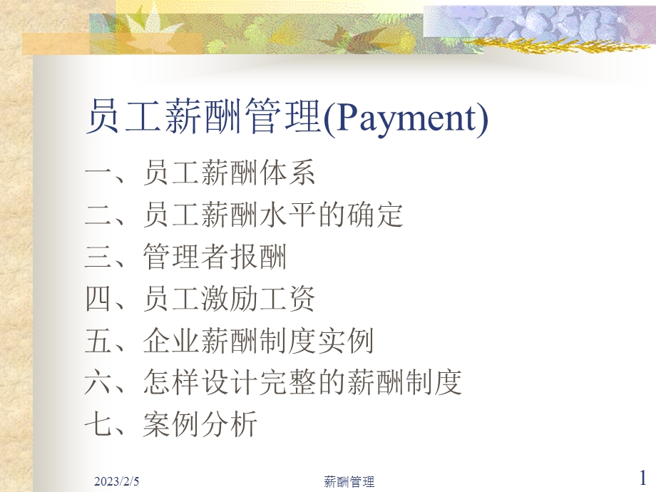 人力资源员工薪酬管理(PAYMENT)（PPT 67页）.ppt_第1页