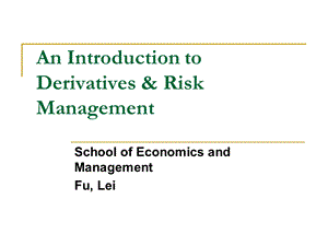 衍生品与风险管理教学课件PPT Introduction.ppt