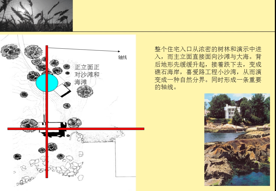 理查德迈耶.ppt_第3页