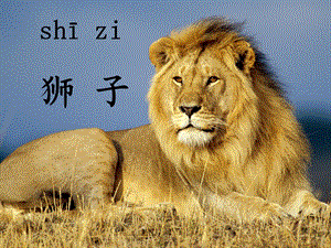 人教版小学语文课件27《两只狮子》 .ppt
