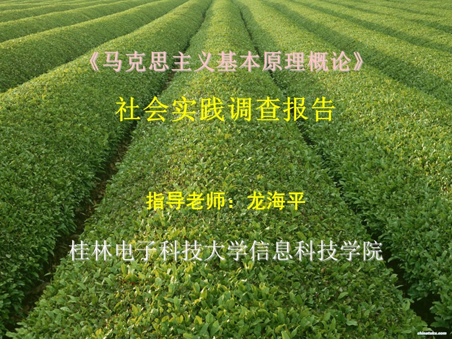 大学生闲暇时间实践报告ppt.ppt_第1页