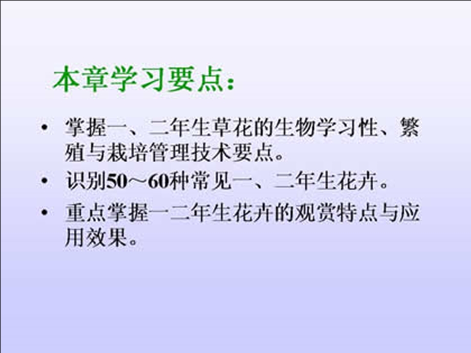 华中农业大学 花卉学 07一、二生花卉.ppt_第2页