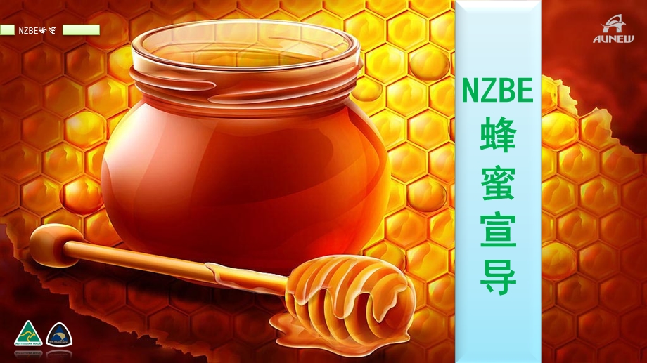 NZBE蜂蜜 PPT1.ppt.ppt_第2页