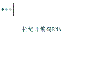 lncRNA(完成版).ppt