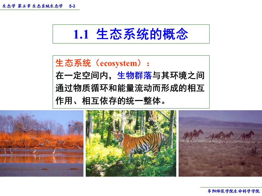 生态系统生态学.ppt_第3页