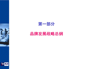 美涛美发美容化妆品品牌发展总纲.ppt