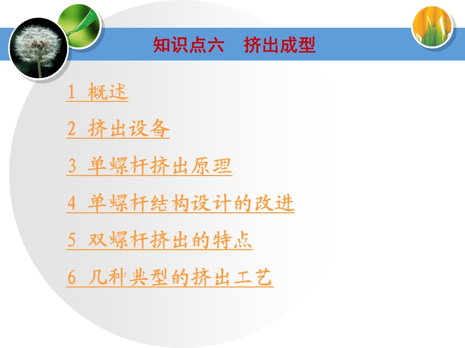 塑料成型与加工教学PPT挤出成型.ppt_第2页