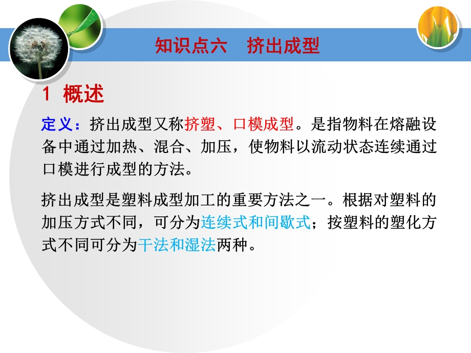 塑料成型与加工教学PPT挤出成型.ppt_第3页