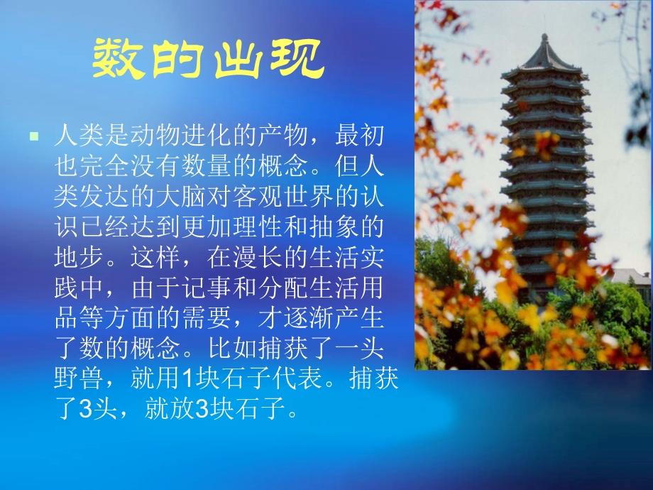 数的发展史.ppt_第2页