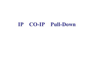 IP,COIP,Pulldown之间的区别.ppt