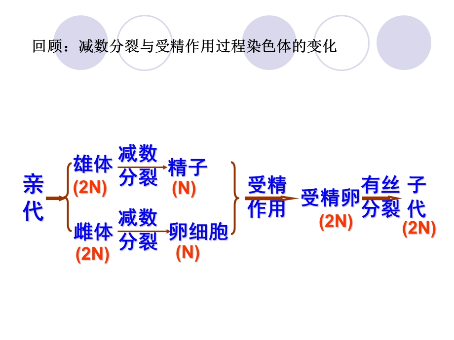 人教版高中生物课件：DNA是主要的遗传物质参赛课件.ppt_第3页