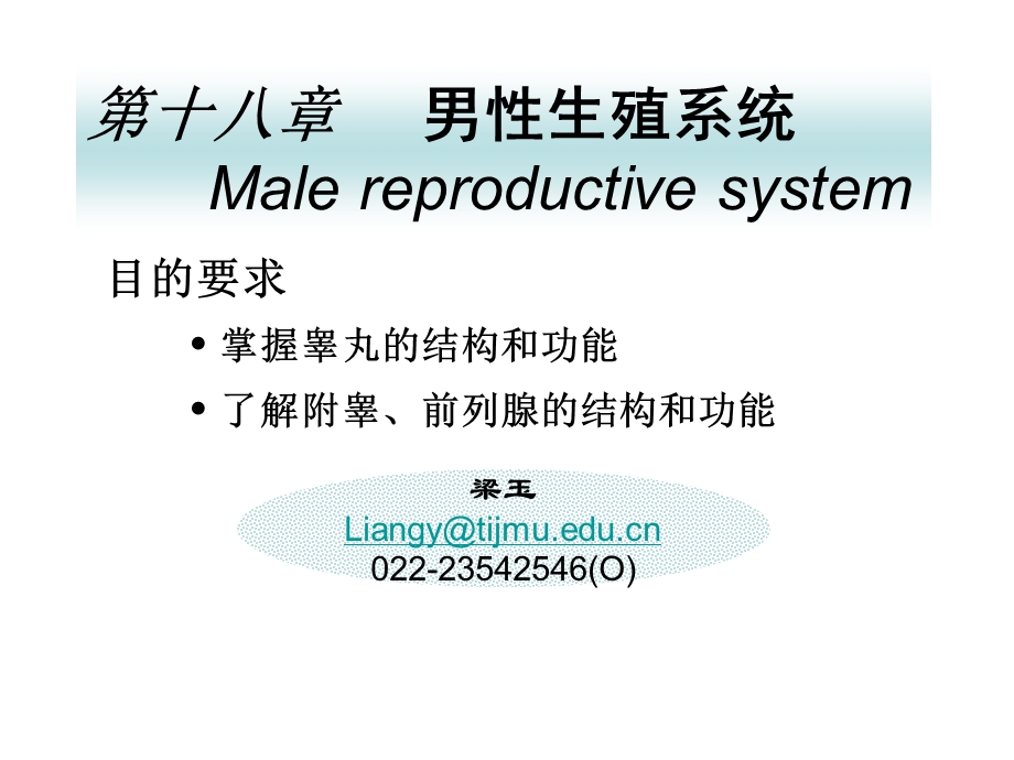 【组织学与胚胎学】第十八章 男性生殖系统.ppt_第1页