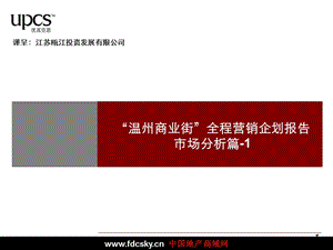 南京市温州商业街全程营销企划报告市场分析.ppt