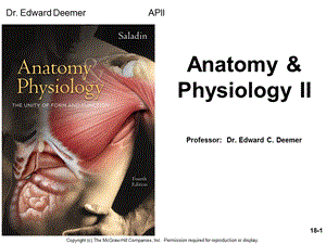 国外生理学与解剖学学习课件教学课件PPT.ppt