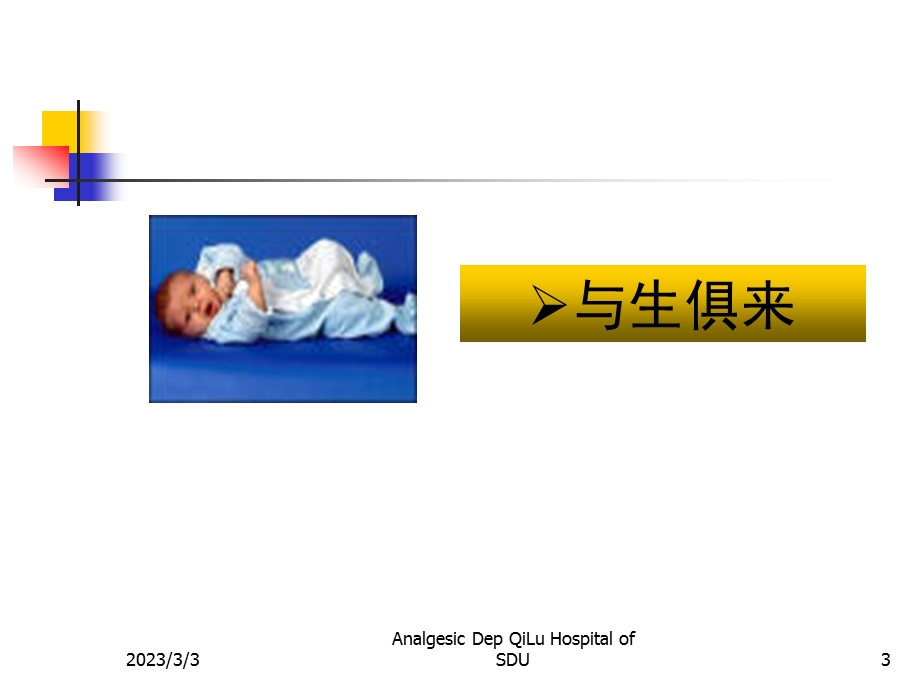 疼痛基础理论及诊疗原则.ppt_第3页