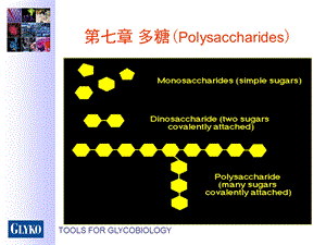 多糖.ppt.ppt