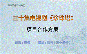 央视连续剧珍珠塔项目合作方案.ppt