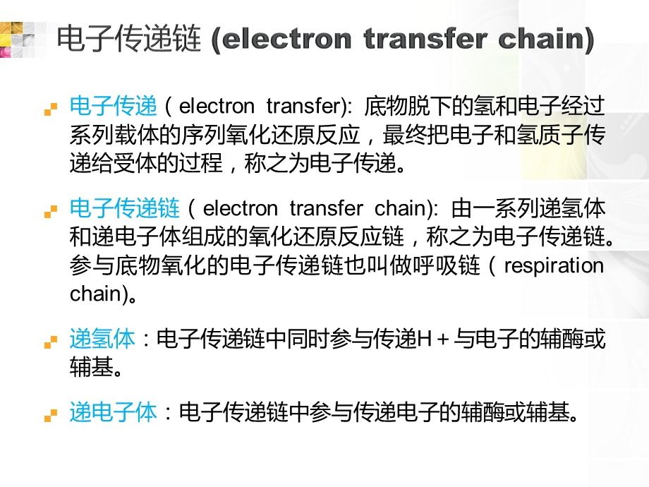 生物化学复习总结之呼吸链..ppt_第2页