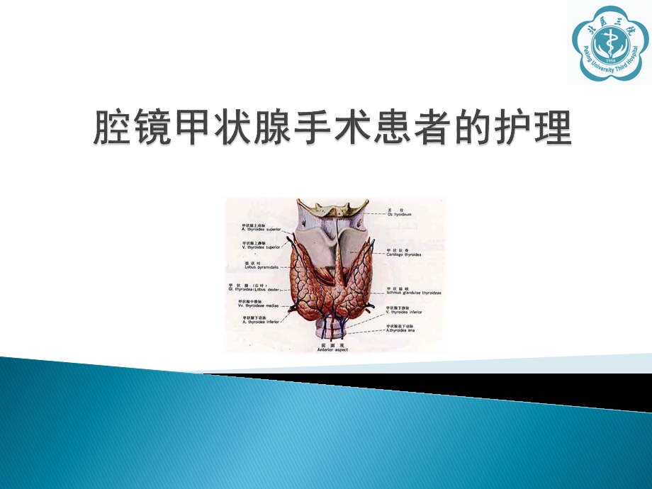 腔镜甲状腺手术.ppt_第1页