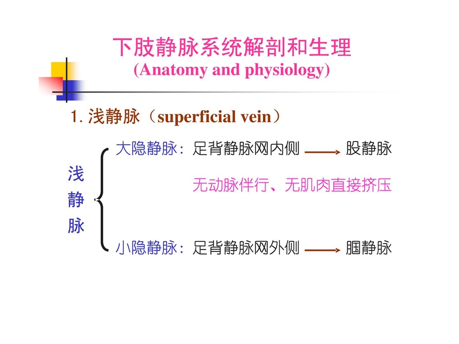 静脉曲张的护理[精华].ppt_第3页