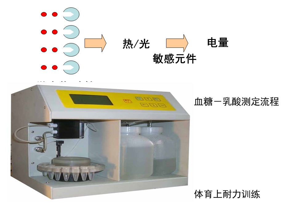 生物传感器.ppt.ppt_第3页