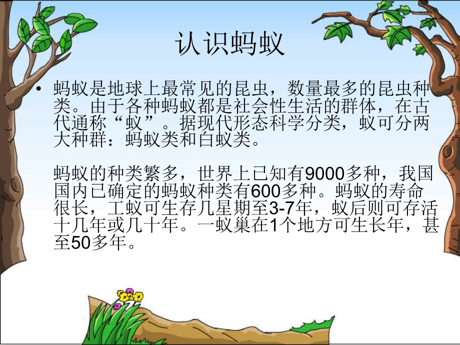 《蚂蚁》教学ppt.ppt_第3页