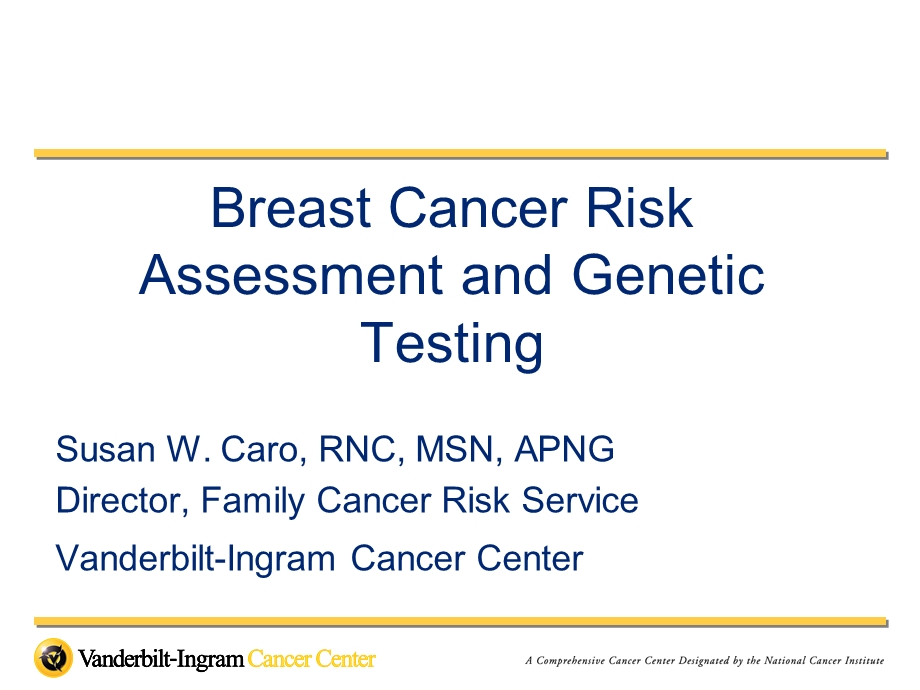 Breast Cancer Risk Assessment and Genetic Testing.ppt_第1页
