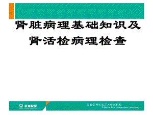 肾活检病理检查及肾脏病理基础知识.ppt.ppt