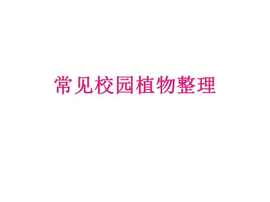 常见校园植物整理.ppt_第1页