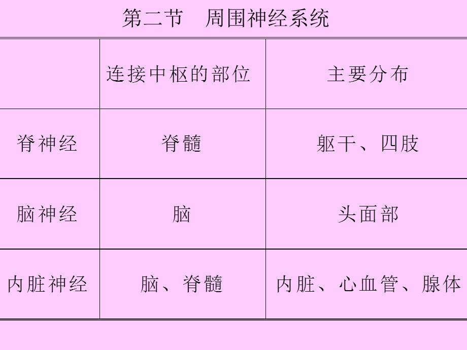 脊神经ppt演示文稿.ppt_第2页