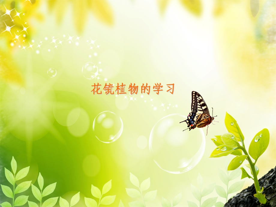 花镜植物的学习.ppt_第1页