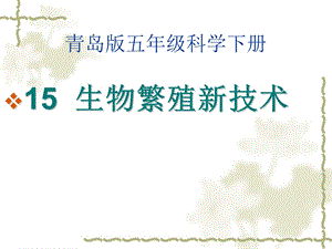 青岛版五级科学下册《生物繁殖新技术》课件.ppt