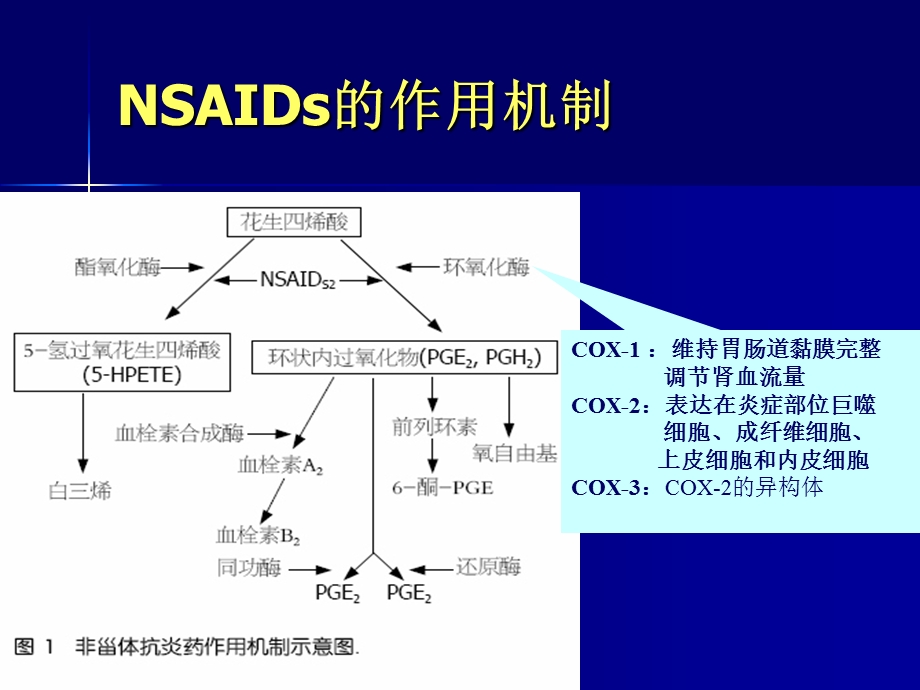 非甾体抗炎药的胃肠道损伤.ppt_第3页