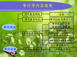 第六章审计依据审计证据和审计工作底稿.ppt.ppt