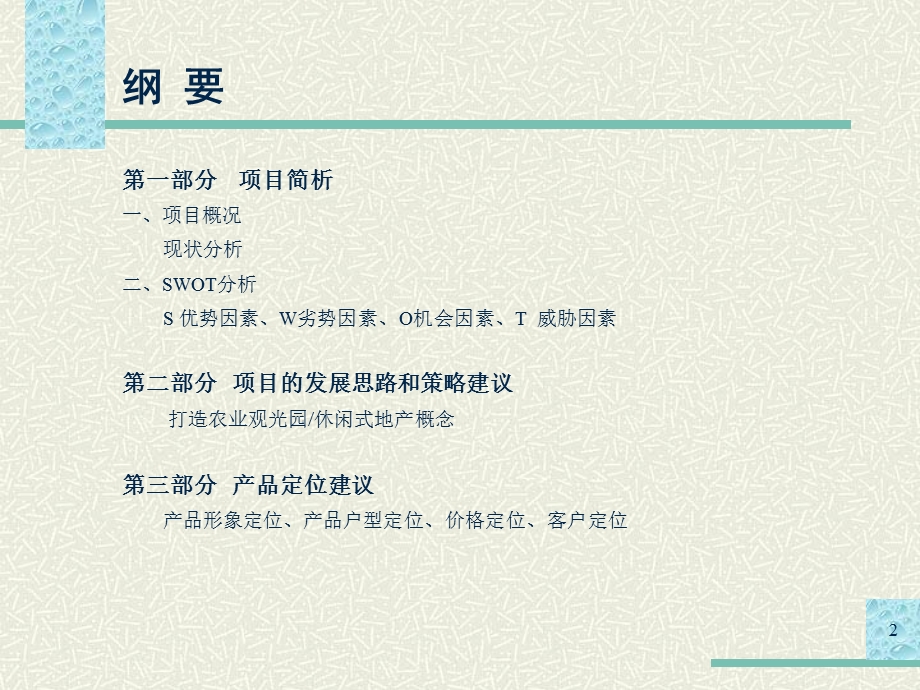 陶然居中式别墅别墅初步推广思路.ppt_第2页