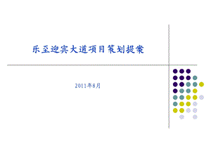 四川乐至乐至迎宾大道项目策划提案96P.ppt