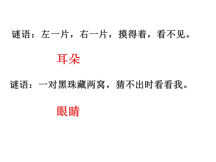 北师大版一级数学下观察物体看一看(一).ppt_第2页