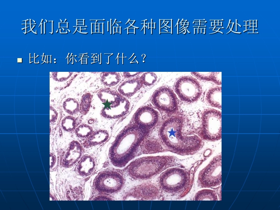 【基础医学】体视学？形态学？ .ppt_第2页