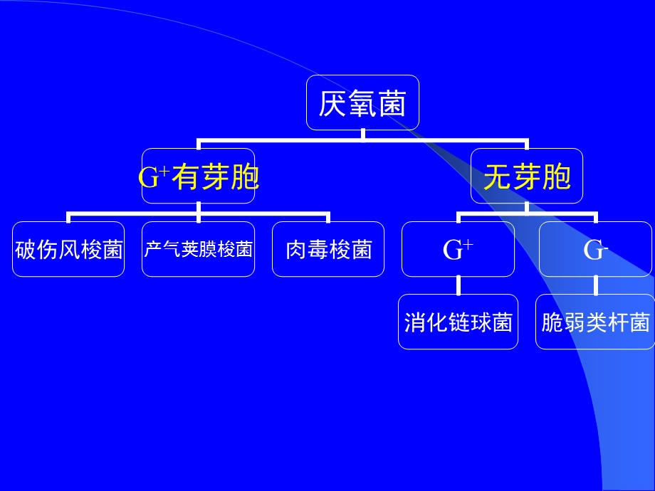 厌氧性细菌.ppt_第3页