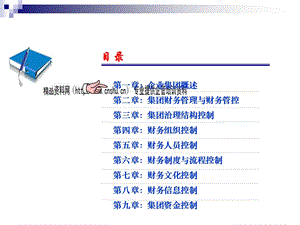 集团财务管理.ppt