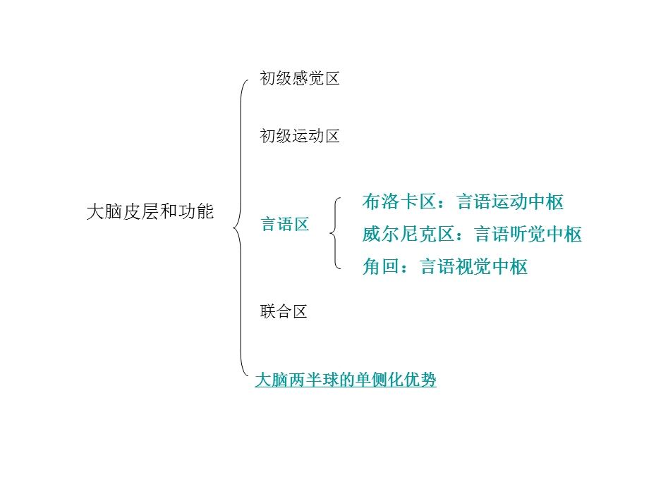 心理学考研思维导图精华版普心串讲.ppt_第3页