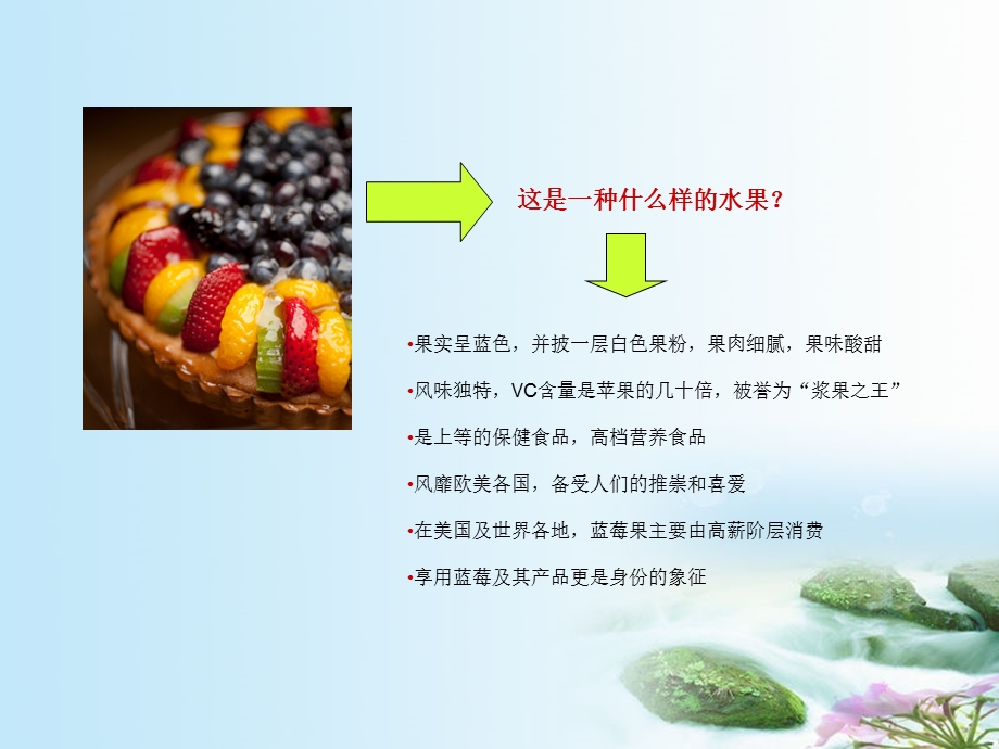 新品蓝莓品牌推广策划案新.ppt_第3页