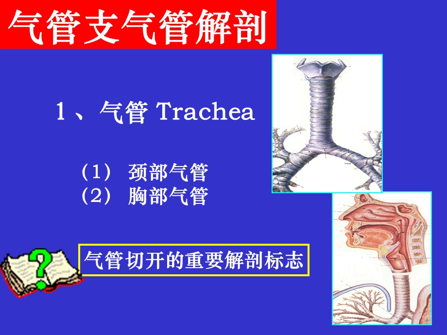 气管支气管异物.ppt遵义医学院.ppt_第3页