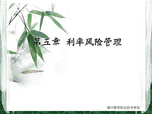 第五章 利率风险管理.ppt.ppt