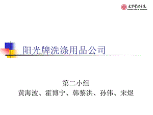 第二组案例讨论：阳光牌洗涤用品公司.ppt