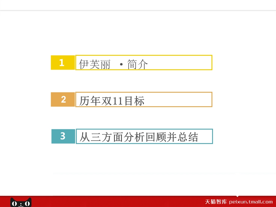 伊芙丽双11总结.ppt_第2页